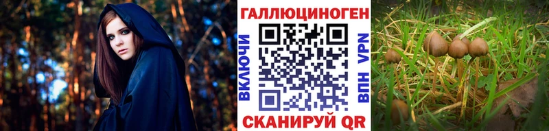 Галлюциногенные грибы GOLDEN TEACHER  Купить где  Анжеро-Судженск 